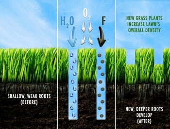 Core-Aeration-Graphic-site-width